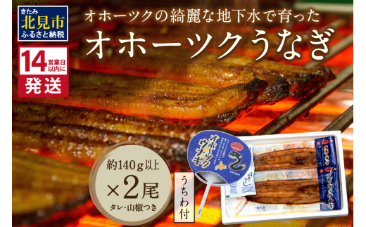 《14営業日以内に発送》オホーツクの綺麗な地下水で育った オホーツク うなぎ 2尾 ( 蒲焼 蒲焼き 丑の日 土用丑の日 )【160-0003】