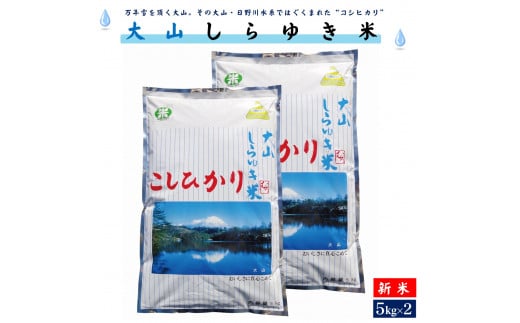 [新米]令和6年産 大山しらゆき米10kg(精白、コシヒカリ、5kg×2)