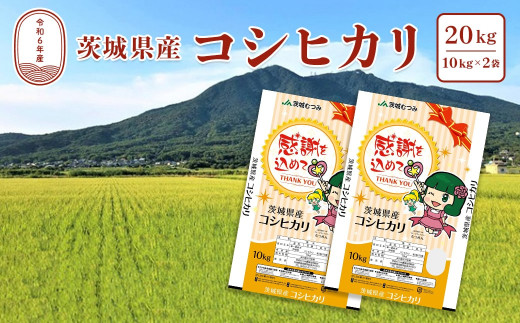 K2087【令和6年産】茨城県産こしひかり20kg(10kg×2袋) 白米 JA茨城むつみ