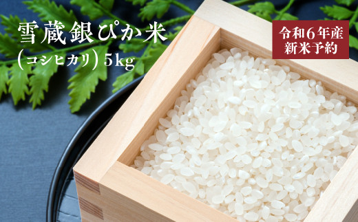 【令和６年産新米】雪蔵銀ぴか米（コシヒカリ）5kg　【07208-0349-C】