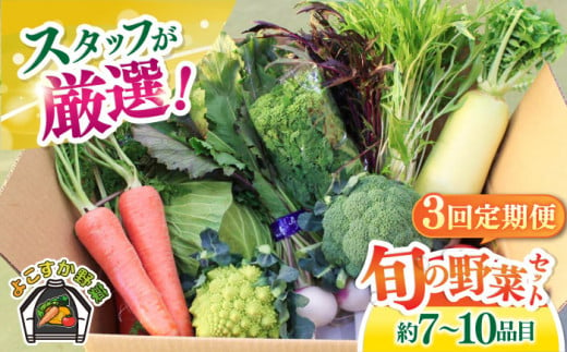 【全3回定期便】よこすか野菜セット すかなボックス 【JAよこすか葉山】 [AKFO007] 1529578 - 神奈川県横須賀市