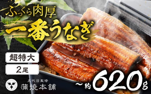 ふっくら肉厚！『一番うなぎ』 超特大 2尾 国産うなぎ蒲焼 1378035 - 愛知県豊橋市