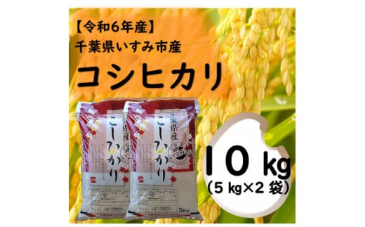 ＜令和6年産米＞　千葉県いすみ市産　コシヒカリ精米10kg(5kg×2袋)【1546629】 1494993 - 千葉県いすみ市