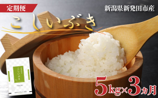 [定期便] 令和6年産 新潟県産こしいぶき 5kg×3か月 [ 新潟県 新潟産 新潟米 新発田産 新発田 お米 米 こしいぶき とんとん市場 せいだ 5kg 15kg 3か月 定期便 数量限定 玄米 D58_02 ]