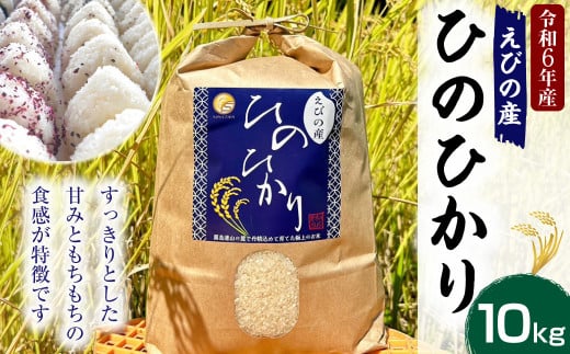 【令和6年度】新米 えびの産 ヒノヒカリ 5kg 米 お米 白米 ごはん ひのひかり 精米 おこめ おにぎり お弁当 TKG お取り寄せ  冷めても美味しい 宮崎県 えびの市 送料無料【11月上旬より順次発送】 - 宮崎県えびの市｜ふるさとチョイス - ふるさと納税サイト