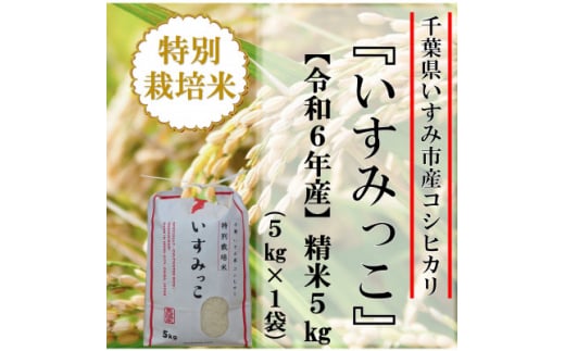 ＜令和6年産米＞千葉県いすみ市産特別栽培米コシヒカリ『いすみっこ』精米5kg(5kg×1袋)【1546632】 1494996 - 千葉県いすみ市