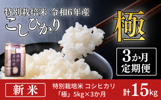 [定期便5kg×3か月] 特別栽培米 コシヒカリ 「極」 5kg×3か月 計15kg 令和6年産 こしひかり 新潟県認証 精米 白米【035S009】 1046983 - 新潟県三条市