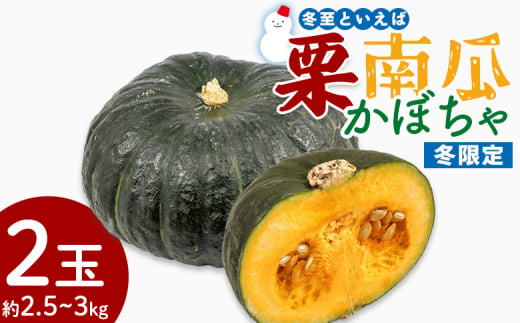 かぼちゃ 南瓜 2玉 約2.5～3kg 冬至といえば栗かぼちゃ 冬限定 -冬至かぼちゃ 栗かぼちゃ カボチャ ホクホク 甘い 簡単調理 使いやすい 栄養豊富 ポタージュ スープ プリン 煮物 新鮮 無農薬 産地直送 旬彩ファームやまさき 高知県 香南市 sy-0008 1494693 - 高知県香南市