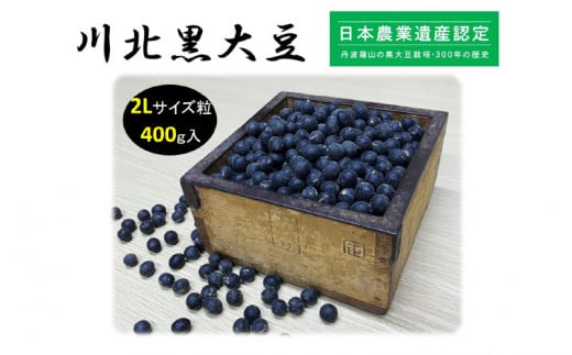 【先行予約】川北黒大豆Lサイズ粒500g入り　お届け：2024年12月中旬～2025年3月下旬まで 966483 - 兵庫県兵庫県庁