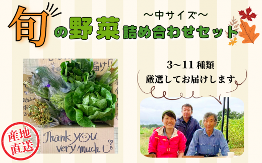 【期間限定】旬の野菜詰め合わせセット（中）(P-1.4) 1493125 - 長野県飯山市