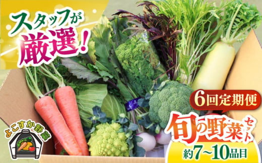 【全6回定期便】よこすか野菜セット すかなボックス 【JAよこすか葉山】 [AKFO008] 1529579 - 神奈川県横須賀市