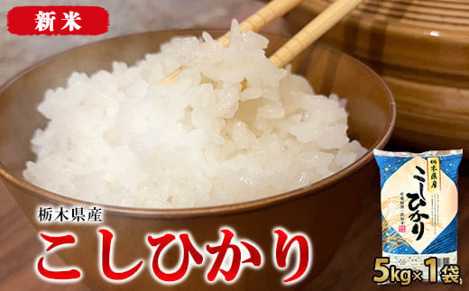 【年内発送 12/23迄受付】【令和6年産・新米】栃木県産こしひかり（精米・5kg×1袋）　※離島への配送不可 1275760 - 栃木県宇都宮市