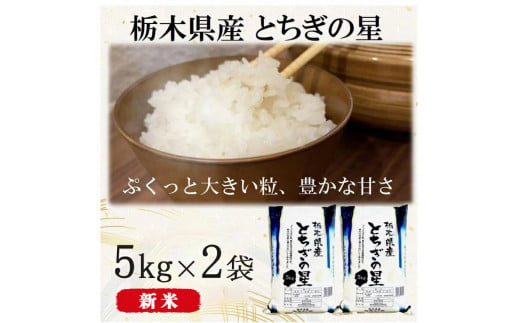 【年内発送 12/23迄受付】【令和6年産・新米】栃木県産とちぎの星 （精米）5kg×2袋 ｜ お米 白米 一等米 送料無料 栃木県 宇都宮市　※離島への配送不可 851846 - 栃木県宇都宮市