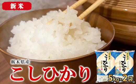 【年内発送 12/23迄受付】【令和6年産・新米】栃木県産こしひかり10kg（精米・5kg×2袋）　※離島への配送不可 1275759 - 栃木県宇都宮市