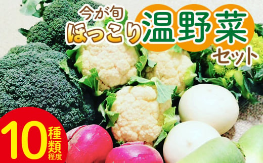 野菜セット まさに旬 ほっこり温野菜セット -お野菜詰め合わせ 朝採れ 朝採り 新鮮 お手軽 簡単調理 ブロッコリー 人参 にんじん ニンジン カリフラワー 大根 だいこん かぶ カブ 鍋 炒め 蒸し 無農薬 産地直送 特産品 旬彩ファームやまさき 高知県 香南市 sy-0006 1494692 - 高知県香南市