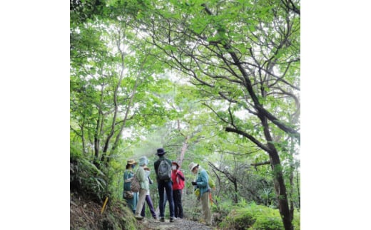 「瀬戸の森ツアー」　世界的にも多様性豊かな愛知県瀬戸市の森をガイドと共に散策します。【1545533】 1495214 - 愛知県瀬戸市