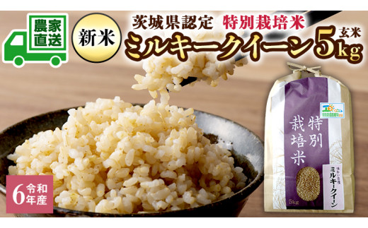 令和6年産 茨城産 特別栽培米 ミルキークイーン 5kg 玄米 米 こめ コメ 茨城県 白米 国産 いばらき 単一米 直送 [BG005ya]