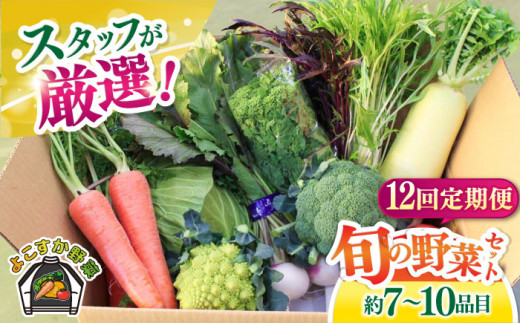 【全12回定期便】よこすか野菜セット すかなボックス 野菜 お野菜 季節野菜 やさい 詰め合わせ 詰合せ セット お楽しみ 産地直送 旬 厳選 すかなごっそ 農産物 神奈川県 横須賀市 定期 定期便【JAよこすか葉山】 [AKFO009] 1529580 - 神奈川県横須賀市