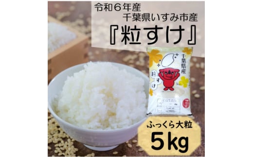 ＜令和6年産米＞　ふっくら大粒　千葉県いすみ市産粒すけ　精米5kg【1546628】 1494992 - 千葉県いすみ市