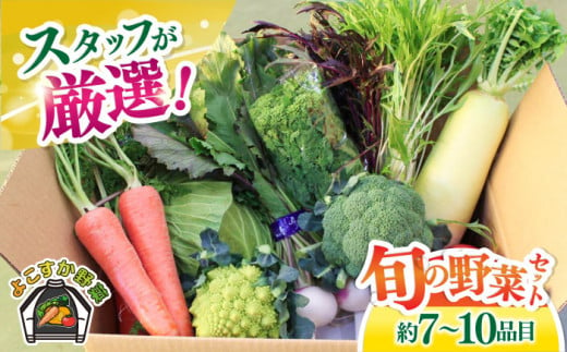 よこすか野菜セット すかなボックス やさい 季節野菜 産地直送 旬 野菜詰め合わせ セット 横須賀 【JAよこすか葉山】 [AKFO001] 1528176 - 神奈川県横須賀市