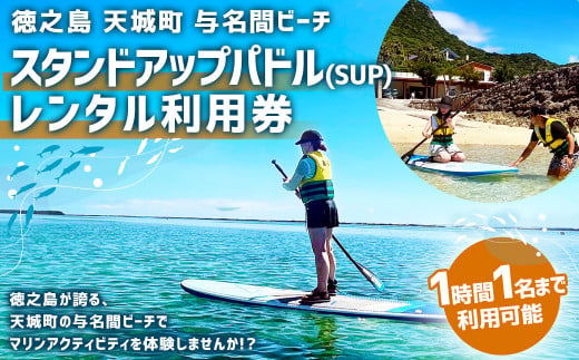 [徳之島 天城町] 与名間ビーチ スタンドアップパドル(SUP) 利用券 マリンアクティビティ レンタルチケット SUP ビーチ レンタル チケット サンセットビーチ