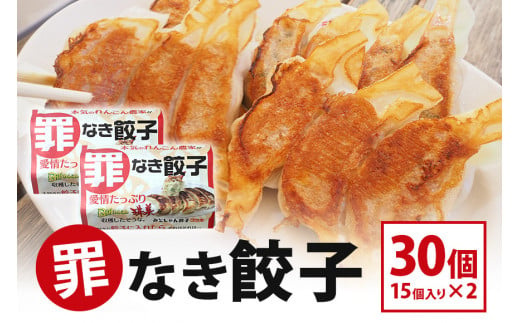 【最高級Bigれんこん珠美使用】冷凍罪なき餃子（20g×15個入）2パックセット 餃子 れんこん ギョウザ レンコン ぎょうざ 蓮根 冷凍 パック セット 保存 おかず 惣菜 国産 77-E