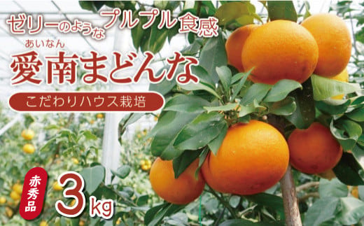 先行 予約 贈答用 愛南 まどんな 約3kg [ 赤秀品 ] みかん 20000円 愛果28号 紅まどんな 同品種 あいか アイカ 高級 人気 ブランド 柑橘 果物 フルーツ ハウス栽培 施設栽培 ギフト プレゼント 数量限定 期間限定 産地直送 国産 農家直送 特産品 お取り寄せ mikan 蜜柑 ミカン マドンナ スマイルカット 甘い おいしい ゼリー ぷるぷる 愛南町 愛媛県 果樹園みどり