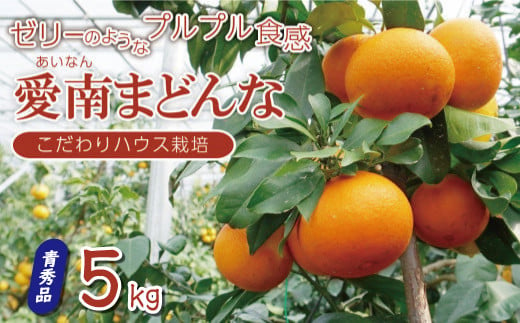 先行 予約 訳あり 愛南 まどんな 5kg [ 青秀品 ] みかん 20000円 愛果28号 紅まどんな 同品種 あいか アイカ 高級 人気 ブランド 柑橘 果物 フルーツ ハウス栽培 施設栽培 ギフト プレゼント 数量限定 期間限定 産地直送 国産 農家直送 特産品 お取り寄せ mikan 蜜柑 ミカン マドンナ スマイルカット 甘い おいしい ゼリー ぷるぷる 愛南町 愛媛県 果樹園みどり