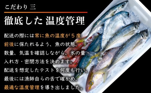 船上 神経締め 鮮魚 ボックス 】朝獲れ 直送 大漁コース (2024年10月出荷) 冷蔵 魚種お任せ 水揚げ 海鮮 魚介 産地直送 新鮮 天然 魚  詰め合わせ - 高知県須崎市｜ふるさとチョイス - ふるさと納税サイト