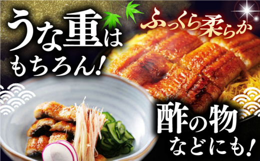 うなぎ 鰻 ウナギ  国産 うなぎ蒲焼 高知 うな重 うな丼 ひつまぶし 鰻蒲焼き
