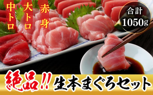 【冷蔵・指定日着可】絶品！生本マグロセット　大トロ 350g + 中トロ 350g + 赤身 350g（すべて柵どり） 223415 - 福井県越前市