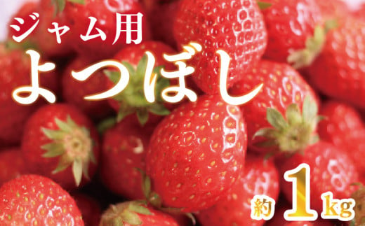 【 先行予約 】 訳あり いちご 果物 フルーツ よつぼし ジャム 用 1kg ストロベリー いちごジャム 手作り 甘い パン トースト 朝食 スイーツ お菓子 ケーキ 阿波市 徳島県 1487014 - 徳島県阿波市