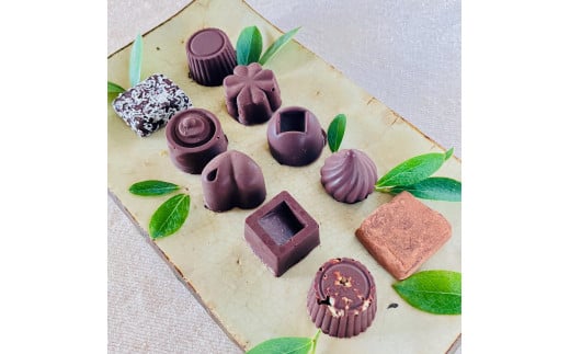 ミニビター&生チョコ詰合わせ＜10個＞白砂糖不使用