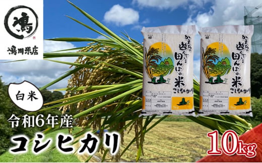 コシヒカリ　白米　10kg（5kg×2）令和6年産 [№5346-0384] 1276829 - 千葉県千葉市