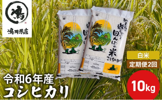 【定期2ヶ月】新米 コシヒカリ　白米　10kg（5kg×2）令和6年産 [№5346-0660] 1281974 - 千葉県千葉市