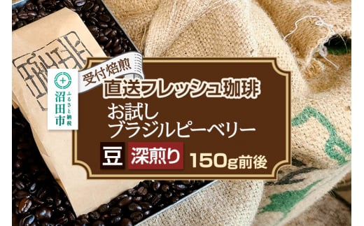 《受付焙煎》直送フレッシュ珈琲 お試し ブラジルピーベリー【豆／深煎り】約150g 珈琲倶楽部 沼田店