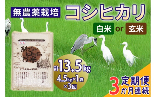 新米 [定期便/3ヶ月] 無農薬栽培 コシヒカリ 計13.5kg (4.5kg×3ヶ月連続)|おいしい お米 コメ こめ ご飯 ごはん 白米 玄米 お取り寄せ 直送 贈り物 贈答品 ふるさと納税 埼玉 杉戸 [0564-566]