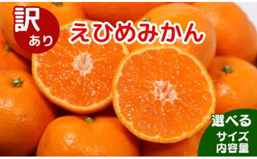 [先行受付]選べるサイズ・内容量 訳あり 清家ばんかんビレッジの愛媛みかん (傷み保証250g) [発送期間 11月上旬〜] 2kg 5kg 10kg 小玉 みかん 愛媛みかん 温州みかん 有田みかん 南柑20号 柑橘 蜜柑 かんきつ 冬 旬 おすそ分け シェア 愛媛県 愛南町 お歳暮 プレゼント くだもの 果物 フルーツ スイーツ おやつ お菓子 甘い 糖度 みかん 清家ばんかんビレッジ