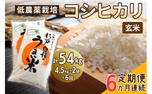 新米 [定期便／6ヶ月] 低農薬栽培のコシヒカリ《玄米》計54kg (4.5kg×2袋×6ヶ月連続)｜おいしい お米 コメ こめ ご飯 ごはん 白米 玄米 お取り寄せ 直送 贈り物 贈答品 ふるさと納税 埼玉 杉戸 [0545] 1497237 - 埼玉県杉戸町