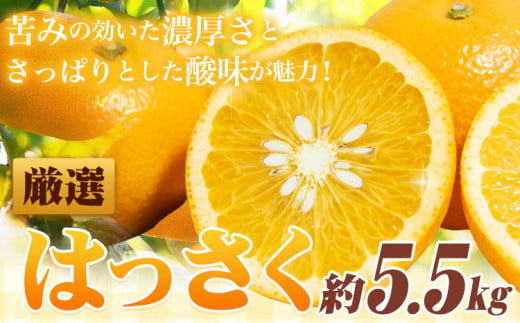 ＜1月より発送＞ 厳選 はっさく 5.5kg +165g 池田鹿蔵農園 日高町 《1月上旬-3月末頃出荷》和歌山県 日高町 送料無料 はっさくみかん 八朔 はっさく ギフト【配送不可地域あり】