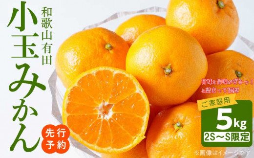 AT6323_【2025年先行予約】ご家庭用　旨味凝縮 有田みかん 約5kg (2S、Sサイズ)【湯浅町】