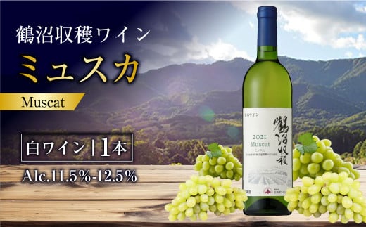  鶴沼収穫ワイン 【ミュスカ】 （白ワイン：750ml× 1本）  アルコール 11.5％-12.5％ お酒 酒 ワイン 白 北海道 浦臼町 1467343 - 北海道浦臼町