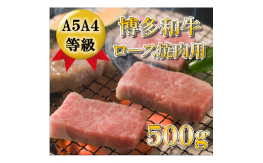 ＜A5A4等級使用＞博多和牛ロース焼肉用500g(大牟田市)【1288268】 1504776 - 福岡県大牟田市