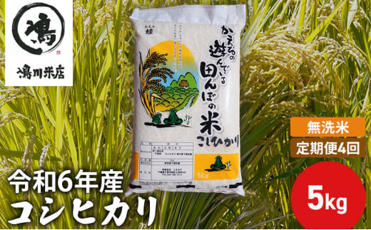 【定期4ヶ月】新米 コシヒカリ 乾式無洗米 5kg 令和6年産 [№5346-0657] 1281971 - 千葉県千葉市