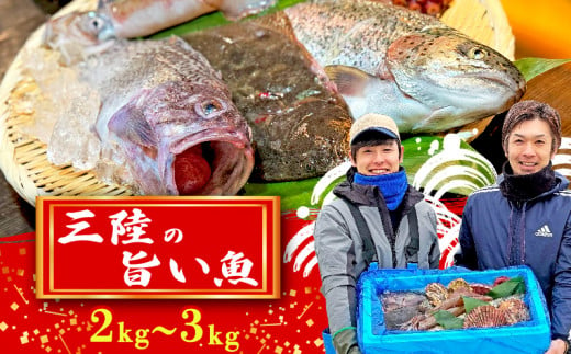 「下処理なし」三陸の旨い魚！季節の鮮魚便 2kg～3kg おまかせセット 1293051 - 岩手県大船渡市