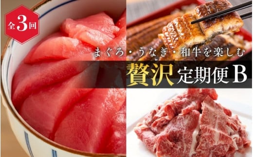 [全3回]まぐろ・うなぎ・和牛を楽しむ贅沢定期便B / 鮪 マグロ 刺身 鰻 ウナギ 蒲焼 熊野牛 肉 牛肉 和牛 黒毛和牛 赤身 こま切れ [tkb386]