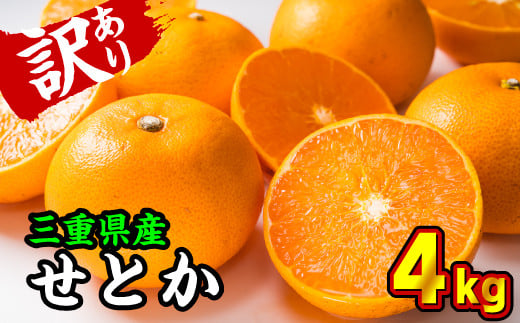 【訳あり】三重県産 せとか ４kg【出荷目安：２月下旬〜３月下旬】 II-57 293525 - 三重県尾鷲市