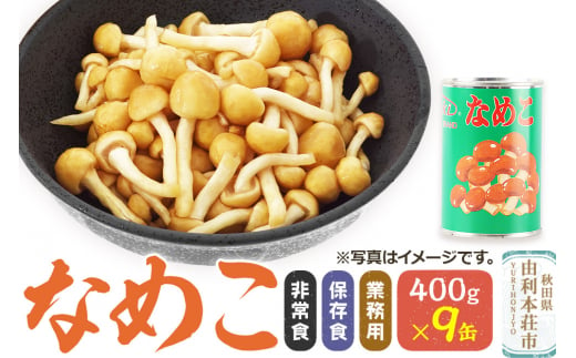 なめこ 400g(固形量200g)×9缶 缶詰 国産 非常食 保存食 業務用 1495621 - 秋田県由利本荘市