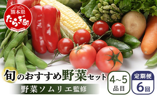 【定期便 6回】野菜ソムリエ 監修 旬の おすすめ 野菜 セット ４〜5品 (1〜2名様向け) 6回配送 数量限定 新鮮 野菜 セット 詰め合わせ 詰合せ 定期便 産地 直送 国産 季節の野菜 ひとり 暮らし 夫婦 二人  024-0803 1513470 - 熊本県多良木町