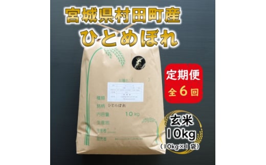 ＜毎月定期便＞宮城県村田町産ひとめぼれ　玄米10kg(10kg×1)全6回【4057110】 1494987 - 宮城県村田町